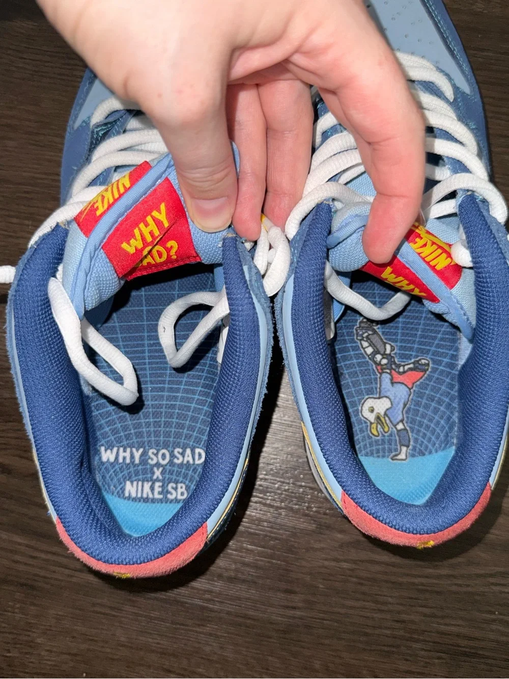 Why So Sad? × Nike Dunk Low SB 'The Predatory Bird' men’s 9.5
